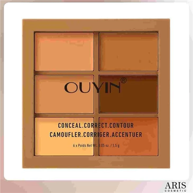 New 6 Color Cosmetics Cream Contour And Highlighting Makeup Kit Color Correcting Cream Concealer Camouflage Makeup Palette view 1